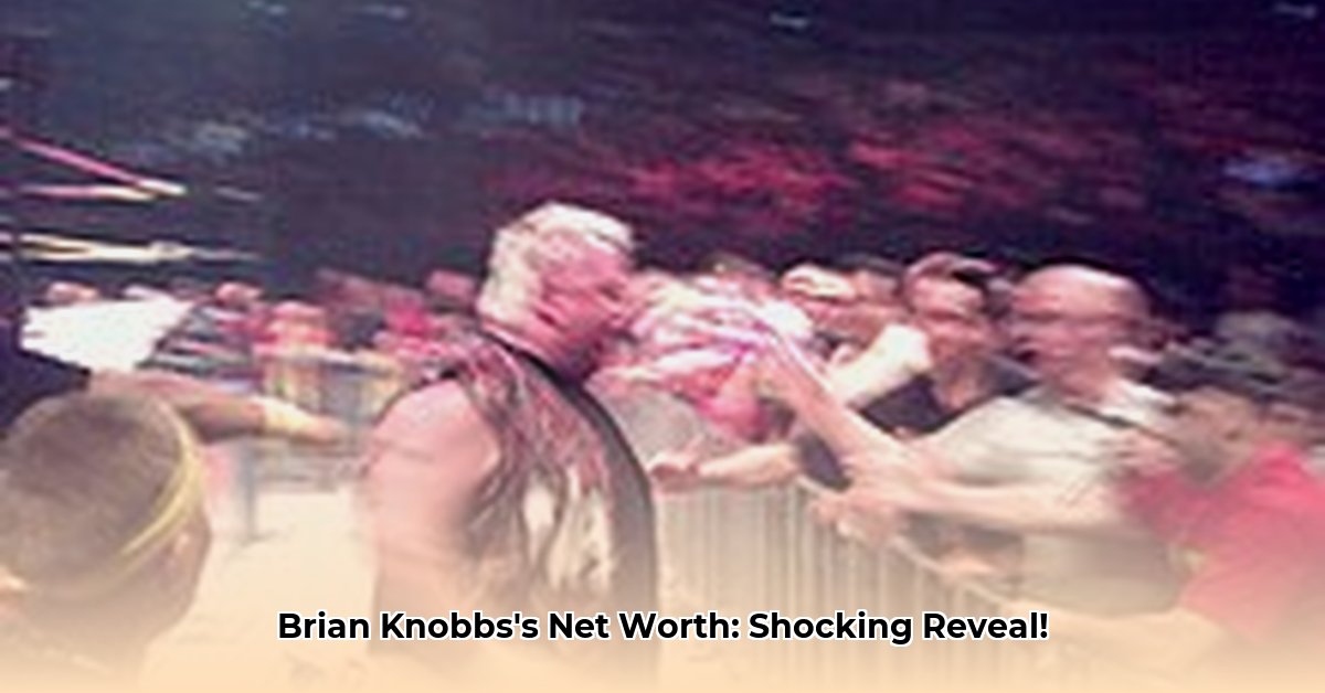 brian-knobbs-net-worth